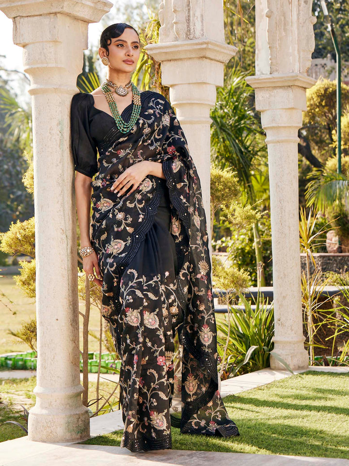 Resham Jaal Embroidered Organza Saree