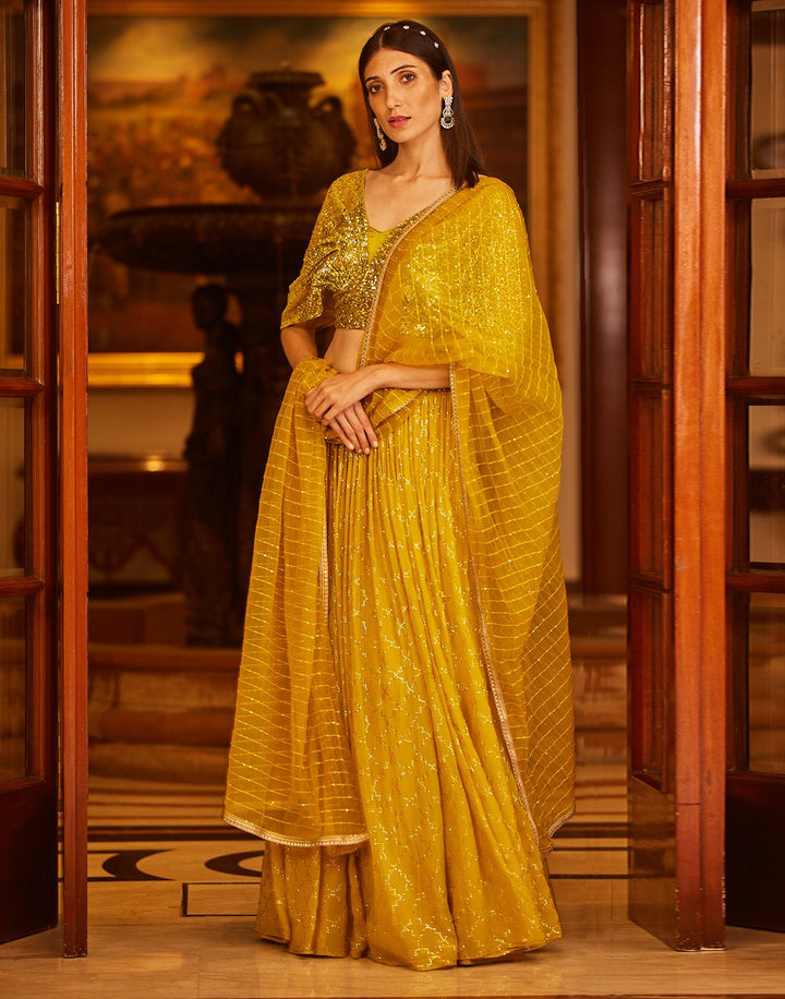Sequence Embroidered Georgette Lehenga With Butterfly Sleeves
