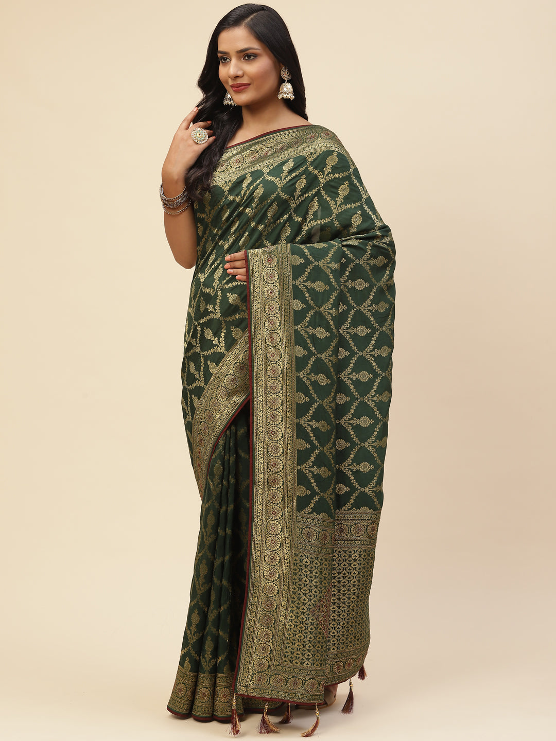 Resham Jaal Embroidered Banarasi Saree