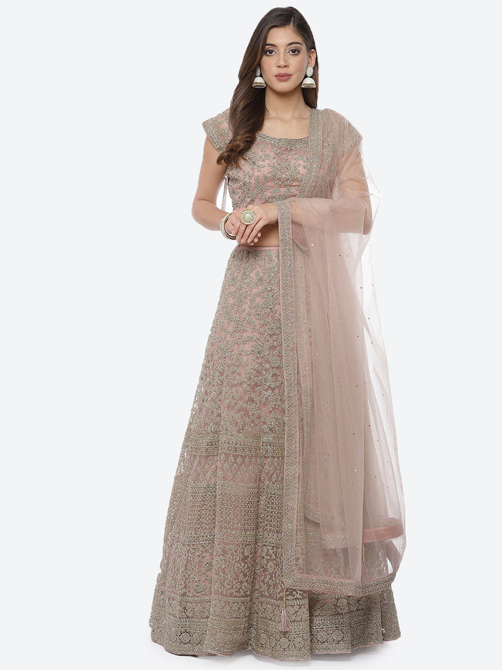 Zari Jaal Net Choli With Lehenga &amp; Net Dupatta