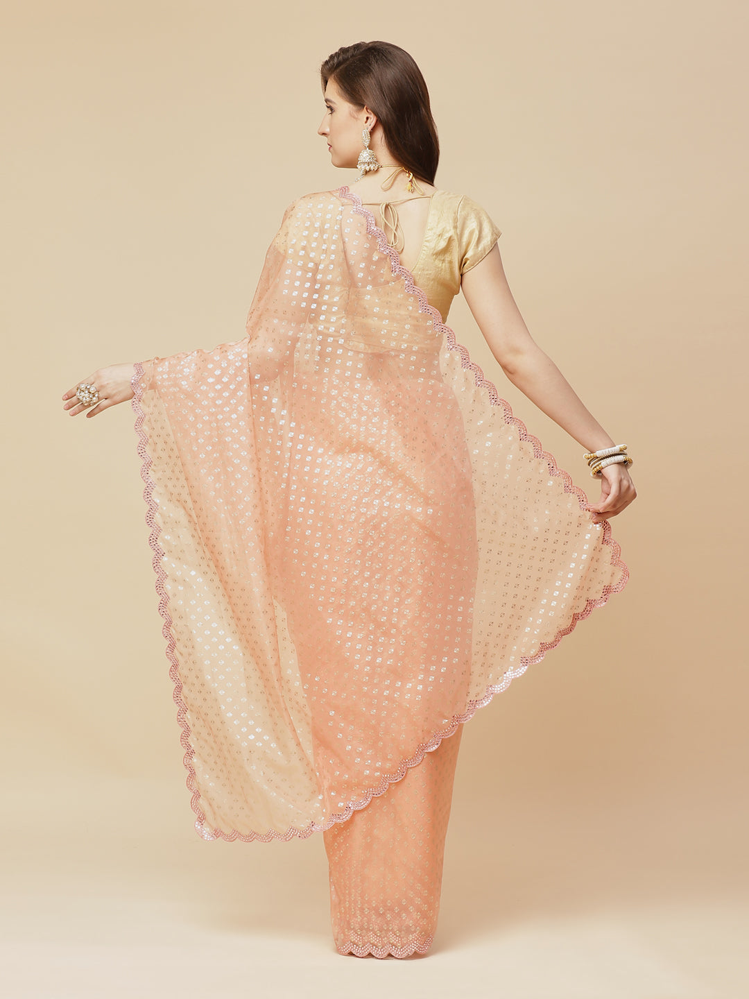 Mirror Gota Border Embroidered Organza Saree