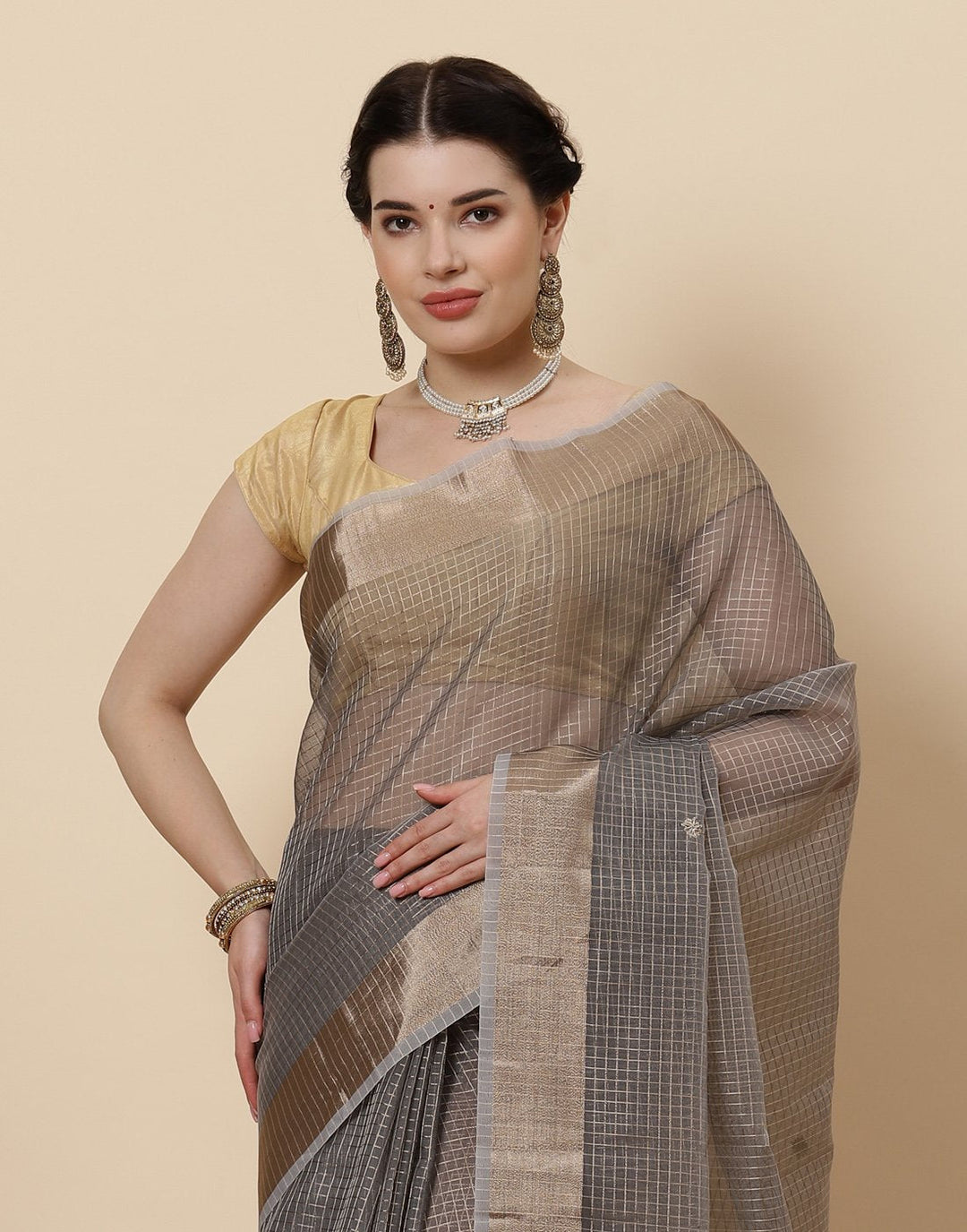 Embroidered Banarasi Tissue Saree