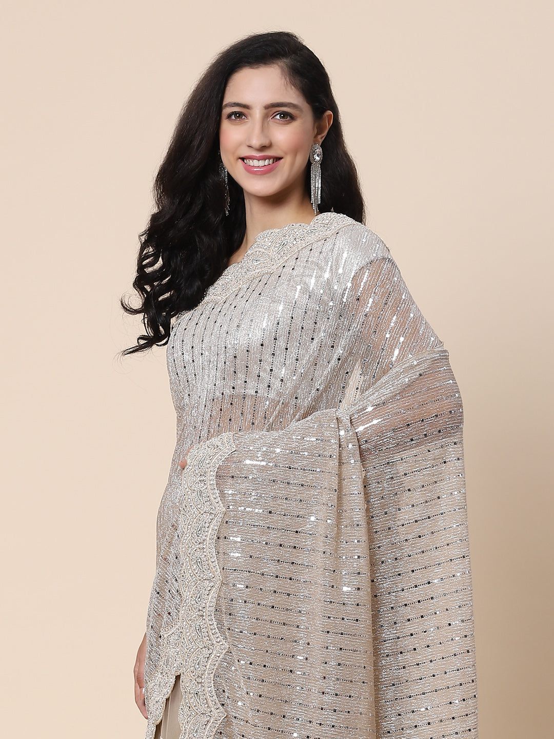 Stone work Handloom Net Embroidered Saree
