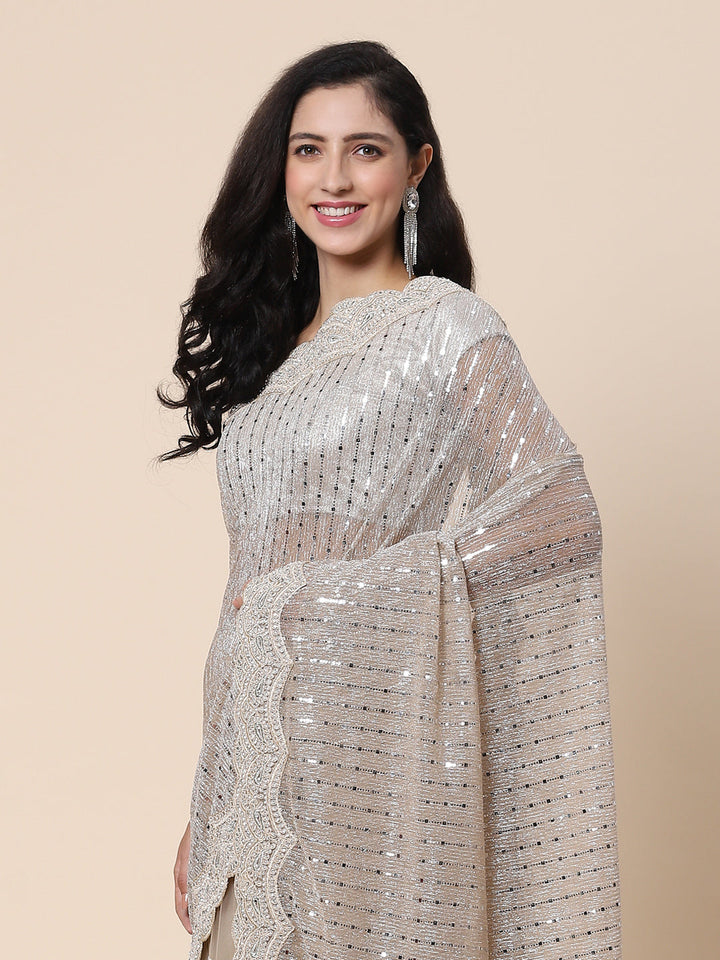 Stone work Handloom Net Embroidered Saree