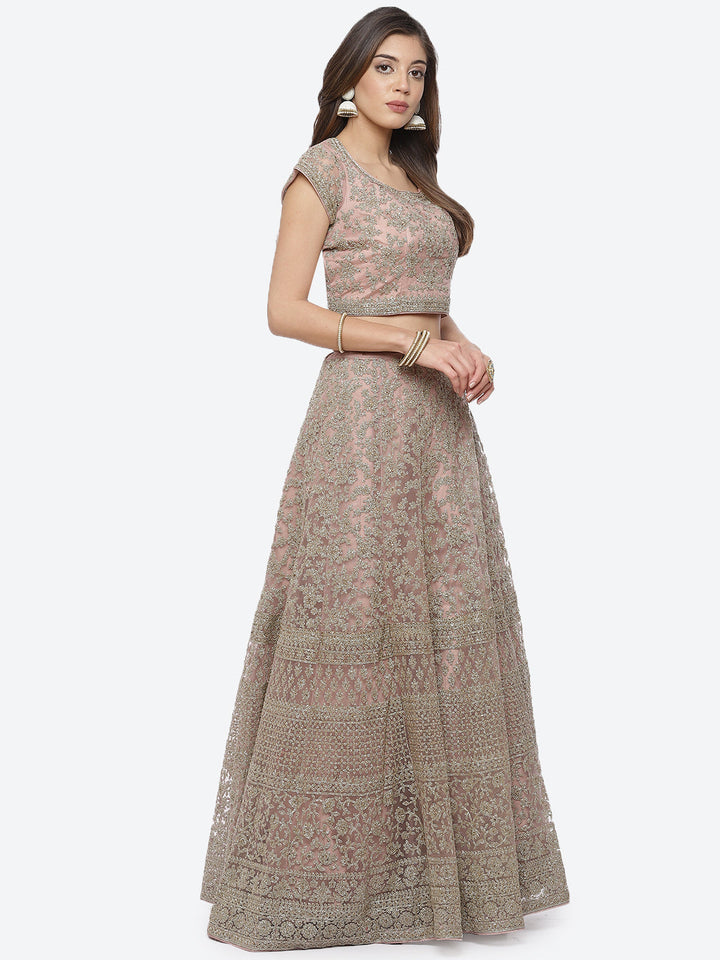 Zari Jaal Net Choli With Lehenga &amp; Net Dupatta