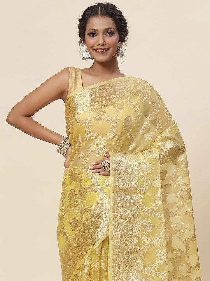 Floral Zari Jaal Organza Plain Saree