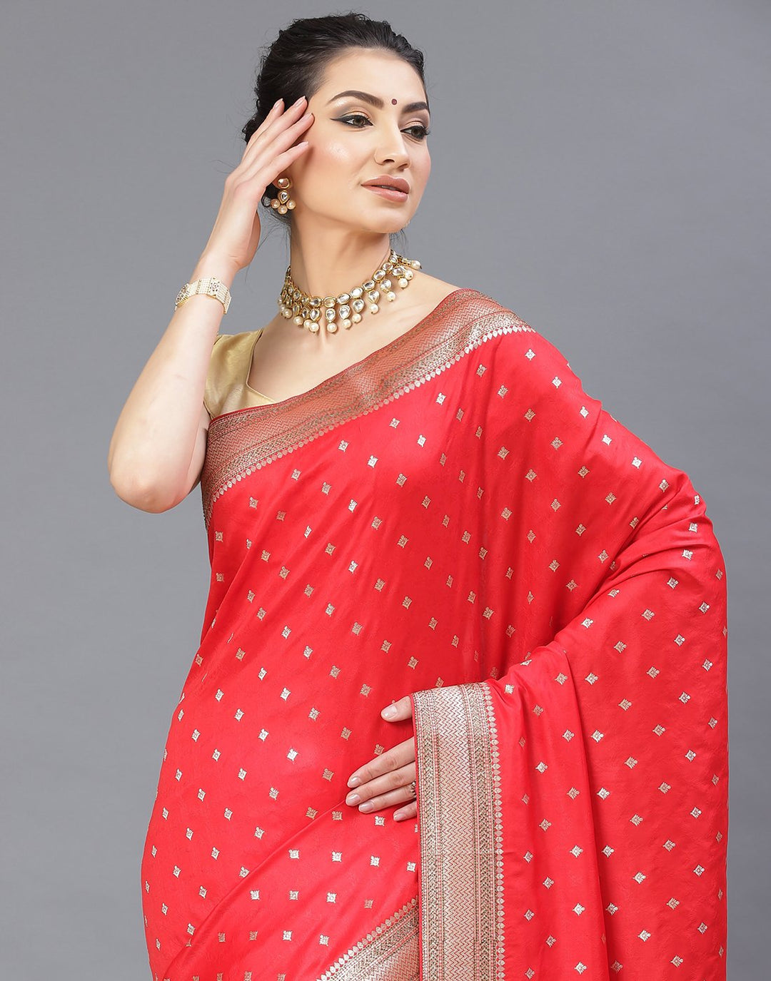 Banarasi Art Handloom Saree