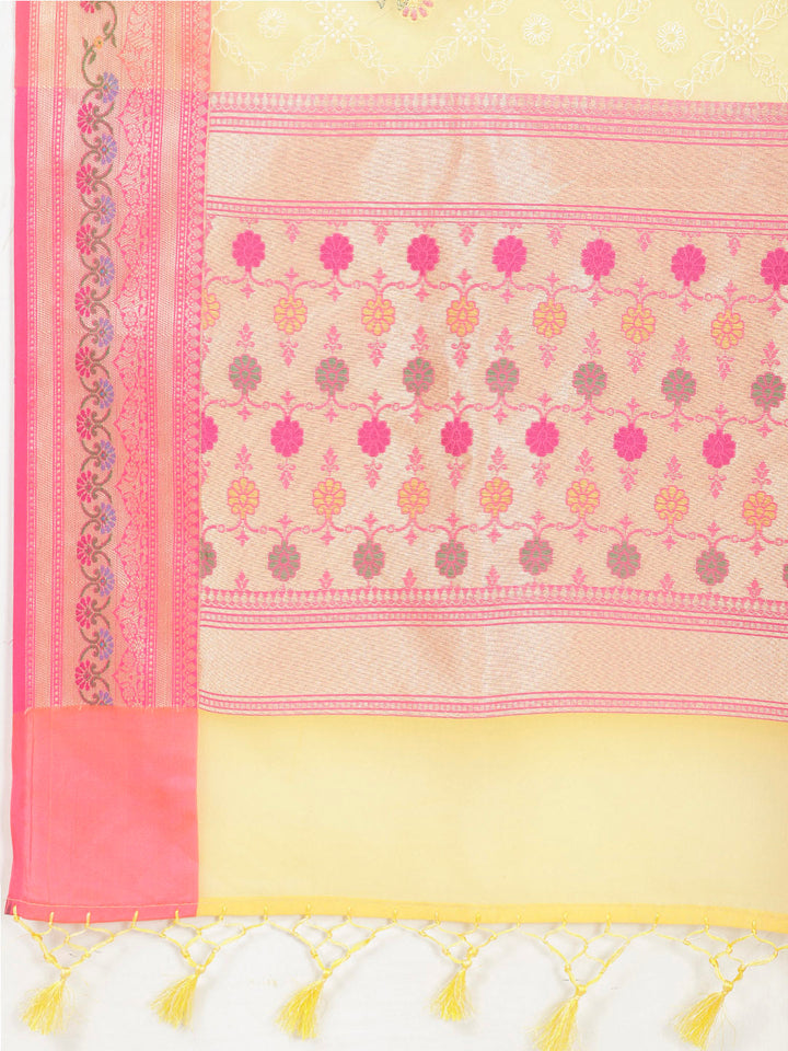 Embroidered Organza Saree