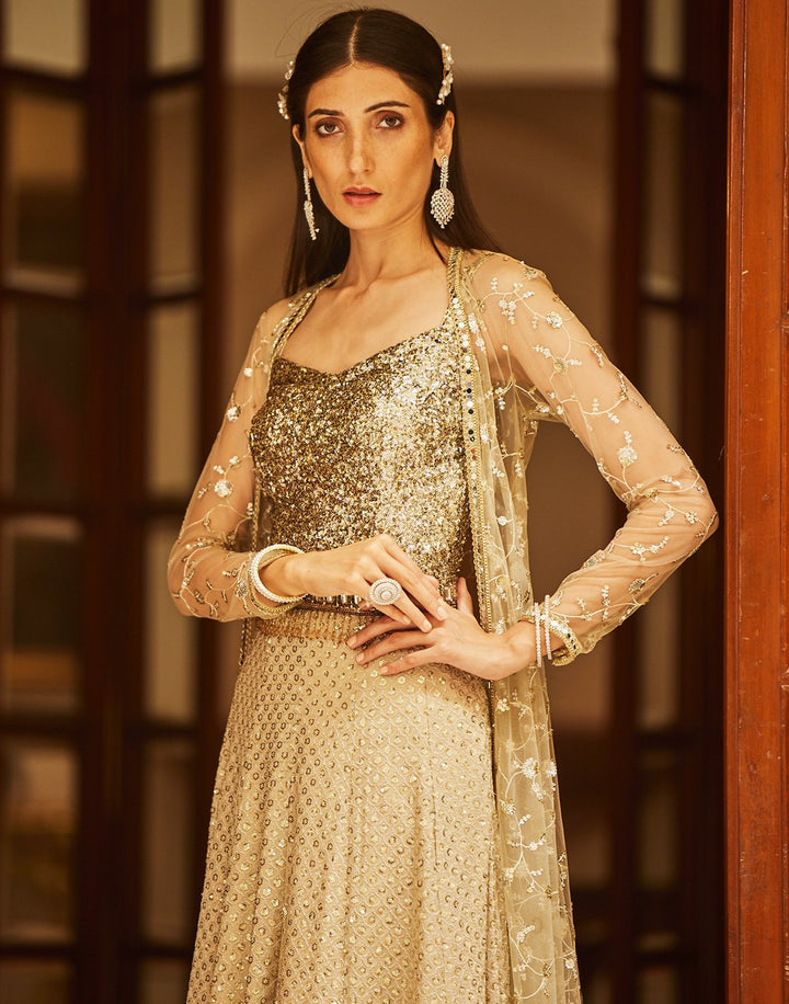 Sequence Embroidered Georgette Gown