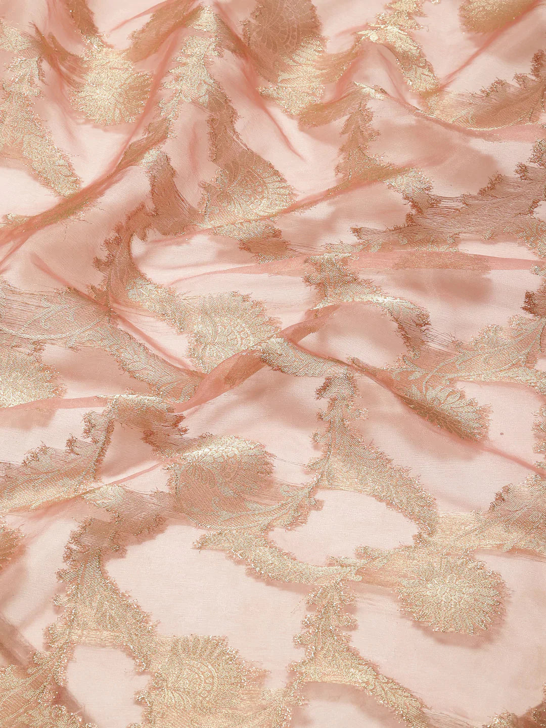 Floral Zari Jaal Organza Plain Saree