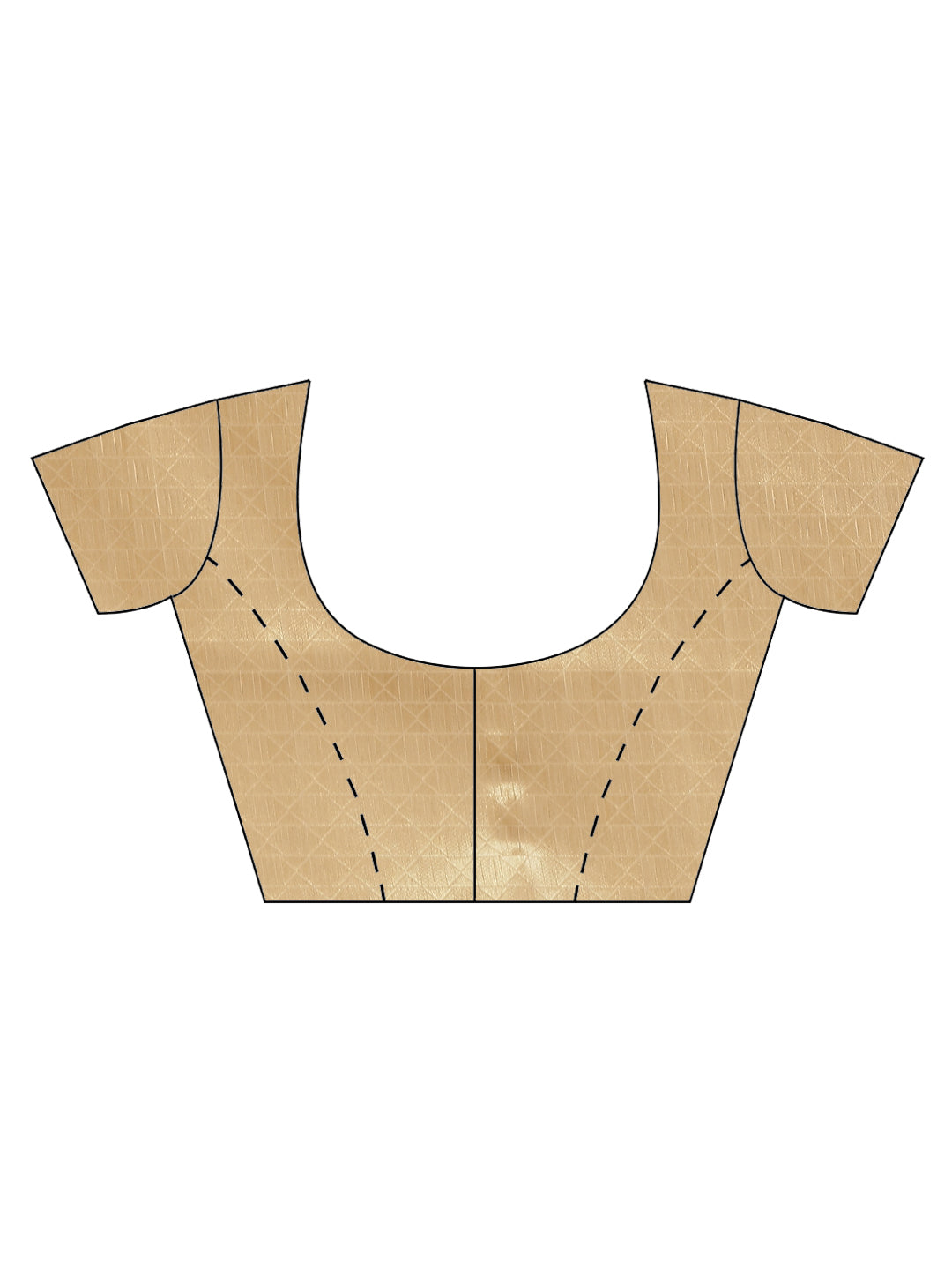 Zari Zaal Organza Woven Saree