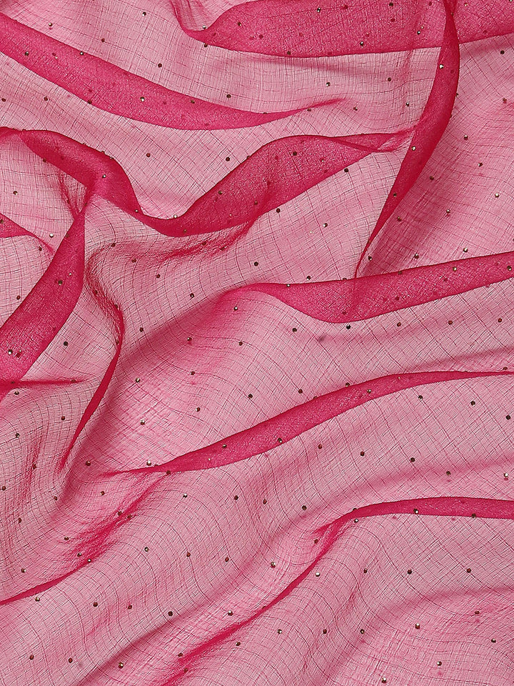 Stone Work Organza Plain Saree
