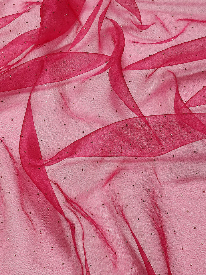 Stone Work Organza Plain Saree