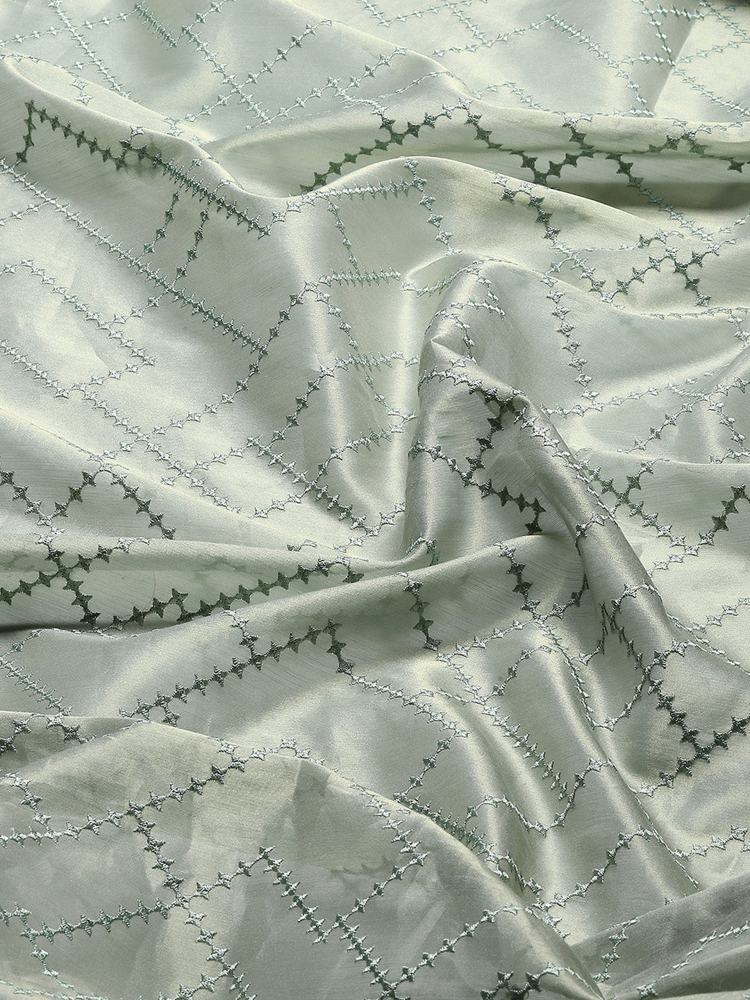 Resham Jaal Embroidery Banarsi Saree