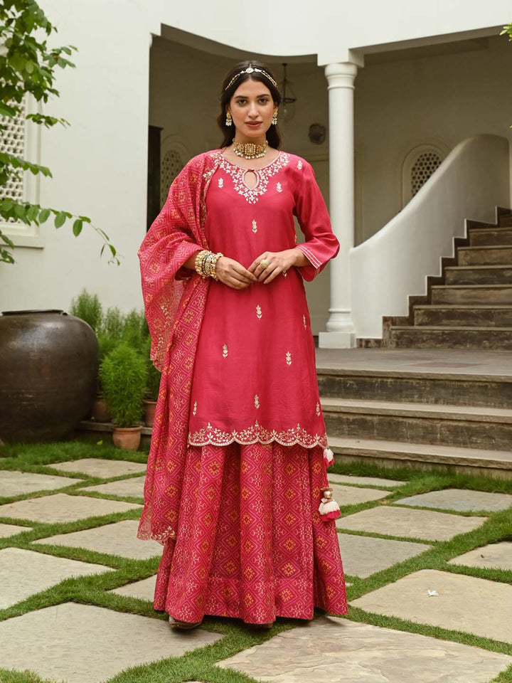 Gota Embroidered Chanderi Kurta With Skirt &amp; Dupatta