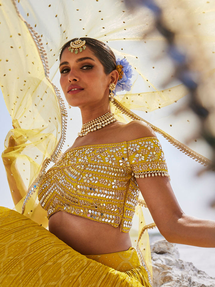 Mirror Embroidered Georgette Choli With Lehenga &amp; Dupatta