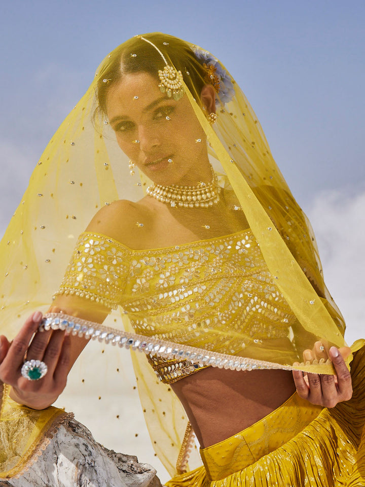 Mirror Embroidered Georgette Choli With Lehenga &amp; Dupatta