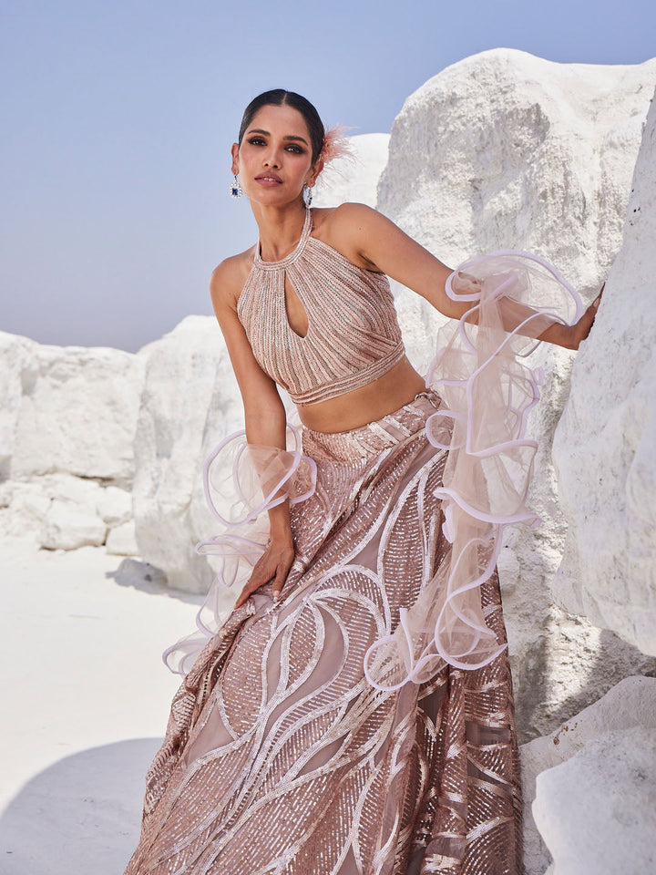 Sequin Embroidered Net Choli With Lehenga &amp; Dupatta