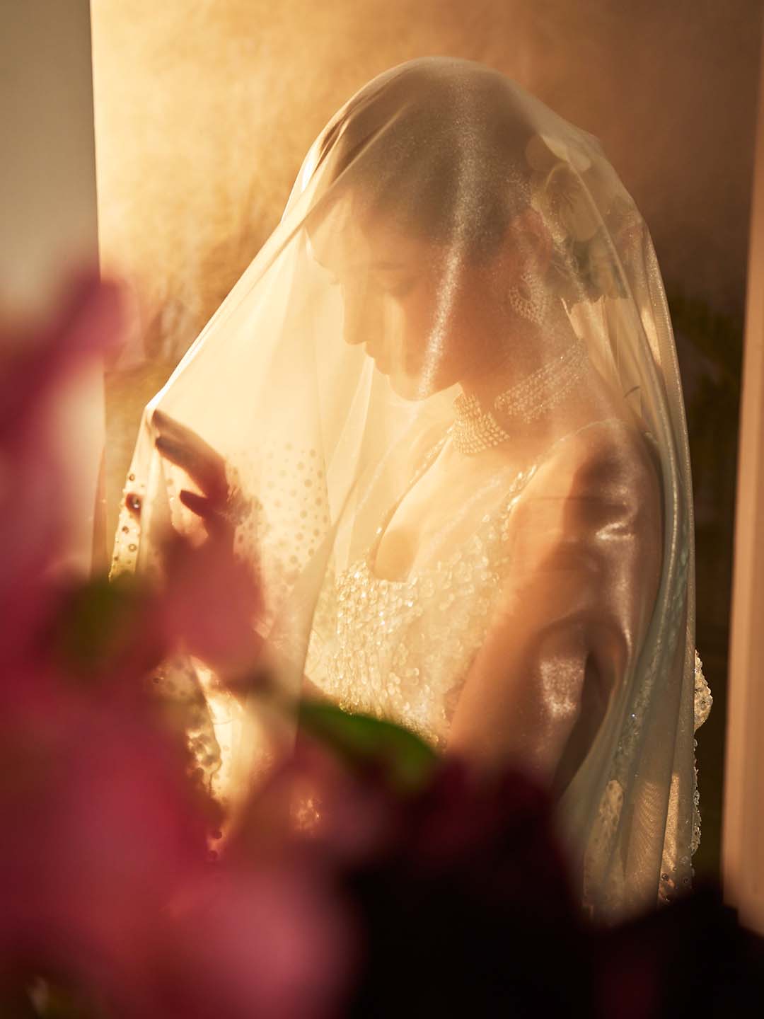 Embroidered Tissue Saree
