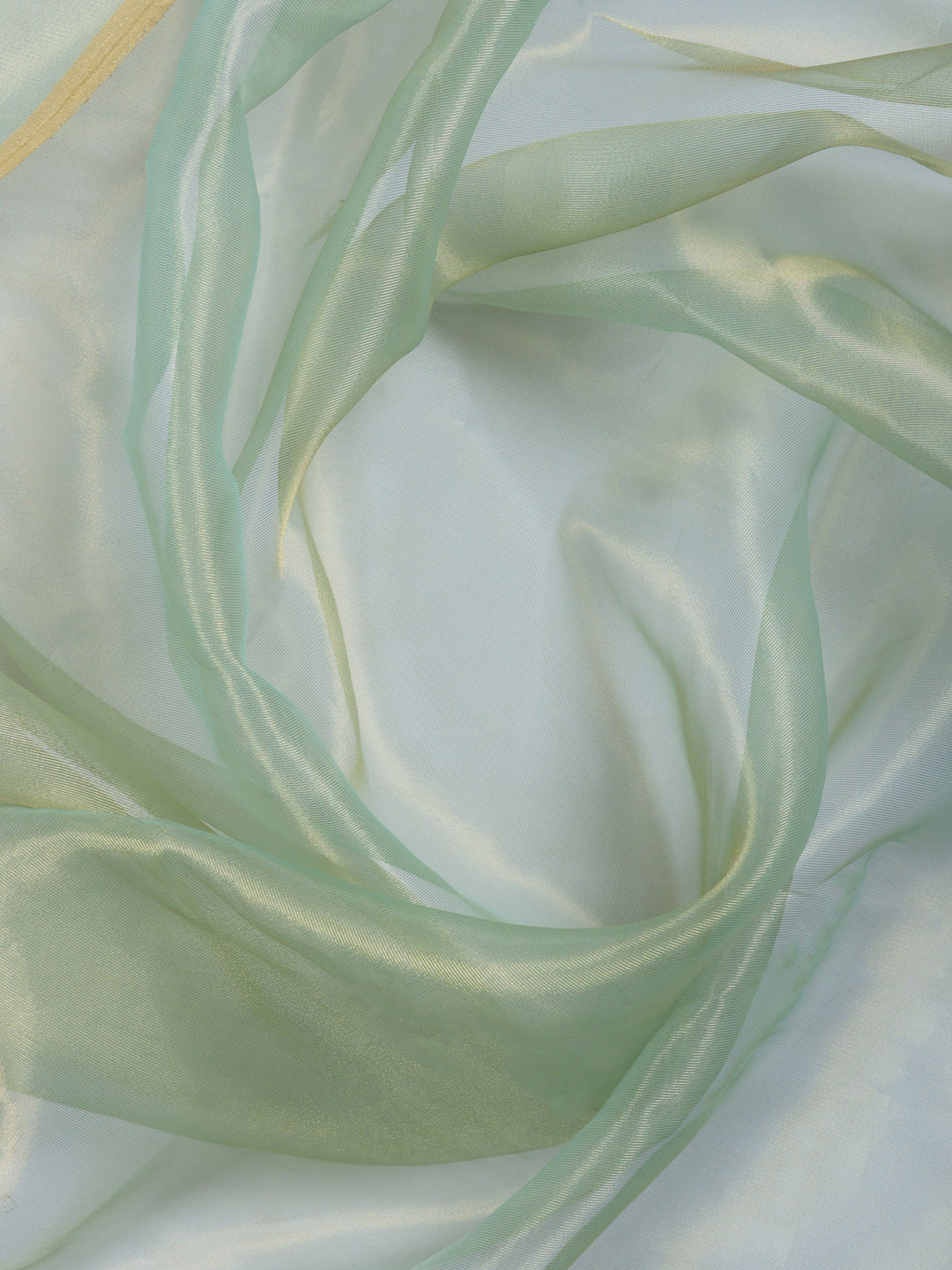 Pista Green Embroidered Tissue Saree
